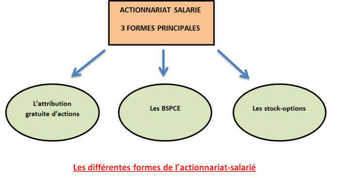 les principales formes d'actionnariat salarié