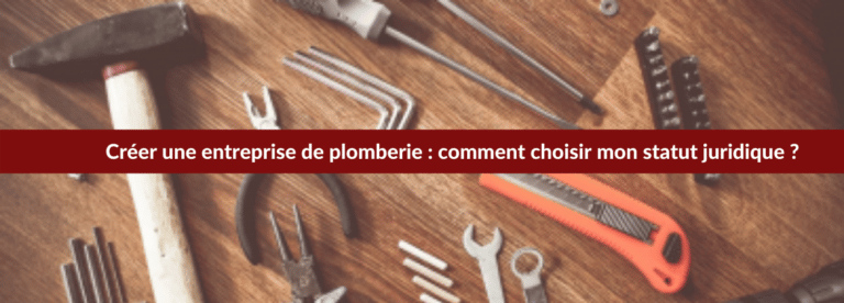 statut juridique entreprise plomberie