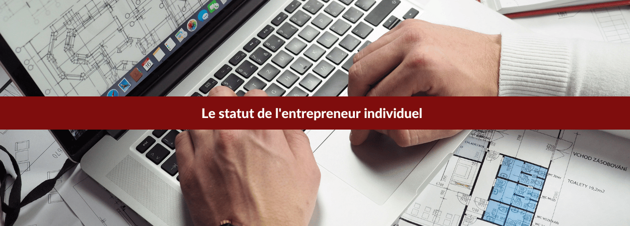 entrepreneur individuel