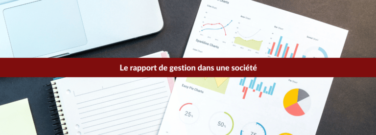 Le rapport de gestion dans une société