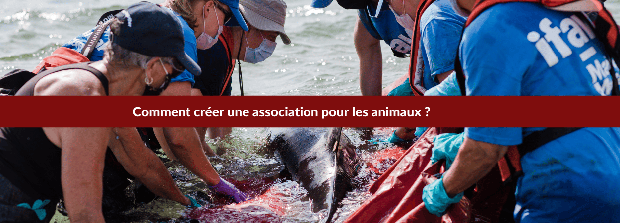 créer une association pour les animaux