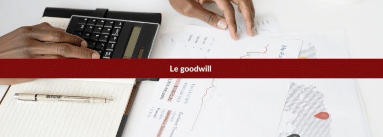 goodwill définition