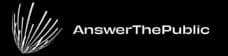 AnswerThePublic logo